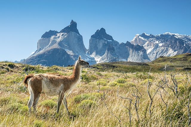 Trek Chili Patagonie argentine