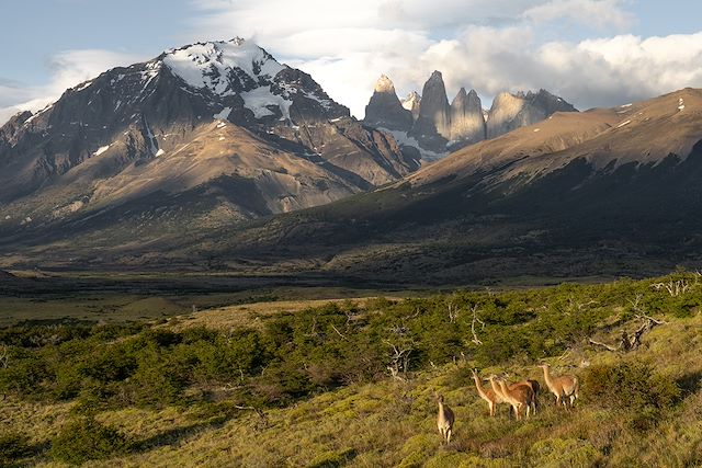 Trek Chili Patagonie argentine
