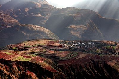 Les terrasses multicolores de Dongchuan - Yunnan - Chine