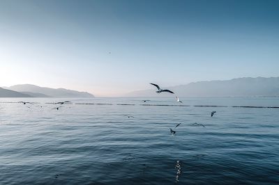 Lac Erhai - Yunnan - Chine