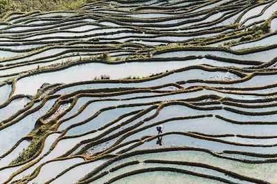 Rizières de Yuanyang  - Yunnan - Chine