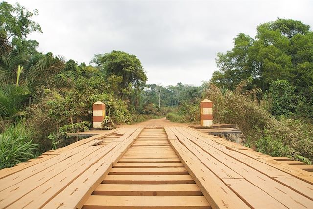 Découverte Cameroun