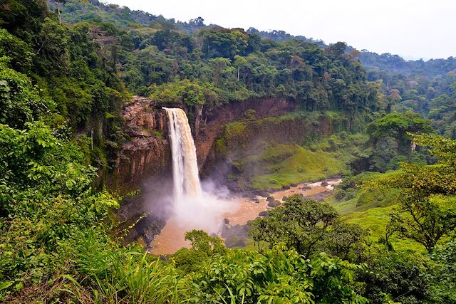 Découverte Cameroun