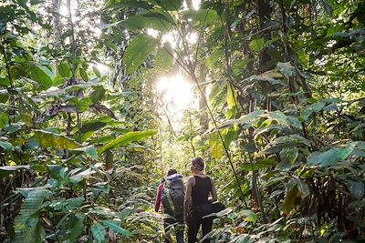 Randonnée dans la jungle 