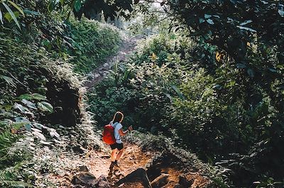 Trek et faune sauvage de Colombie