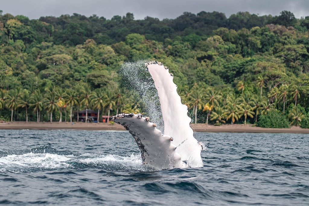 Voyage Colombie