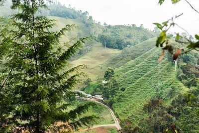 Paysage rural du côté d’El Retiro - Département d'Antioquia - Colombie
