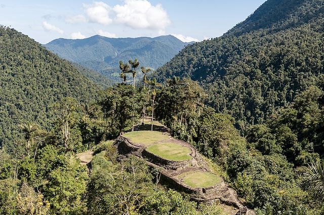 Trek Colombie