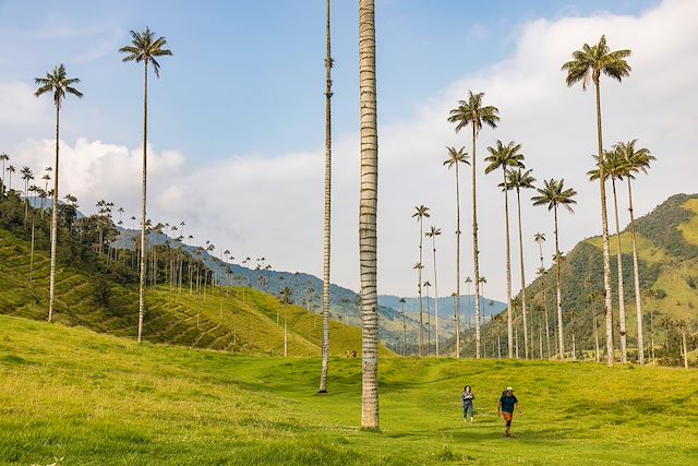 Randonnée Colombie