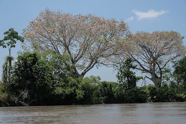 Randonnée Colombie