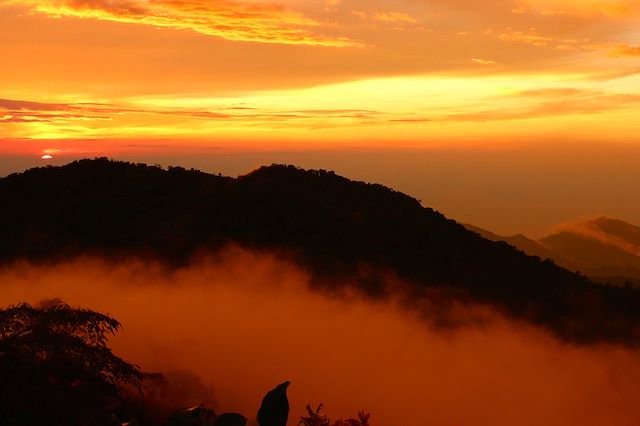 Découverte Colombie