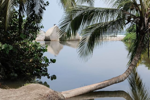 Découverte Colombie
