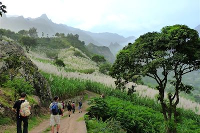 Cirque de Cabo de Ribeira - Santo Antao - Cap-Vert