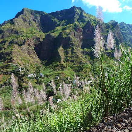 Les oasis atlantiques 