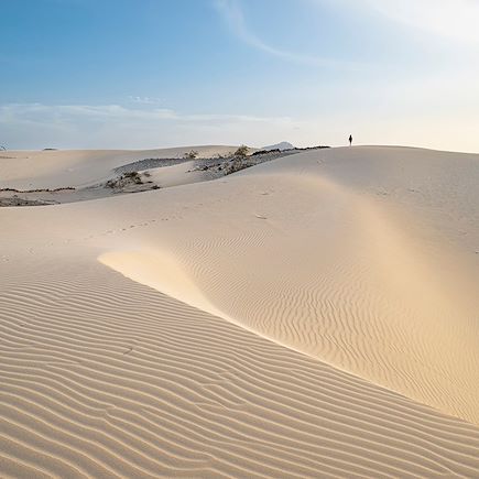 Entre vallées tropicales et désert de sable
