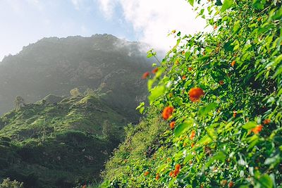 La vallée de Paul, Santo Antao