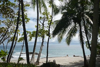 Plage de Montezuma - Costa Rica