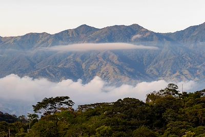 Forêt humide - Costa Rica