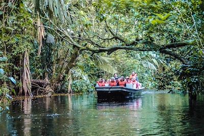 Parc national de Tortuguero - Province de Limón - Costa Rica