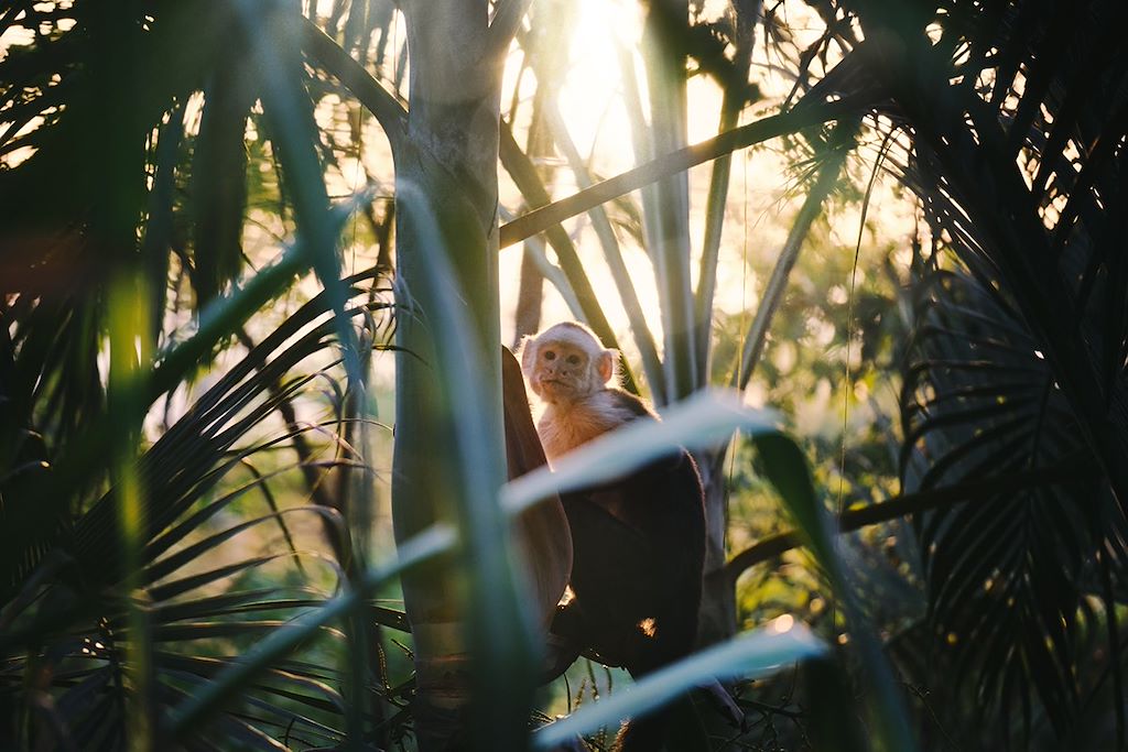 Voyage Costa Rica
