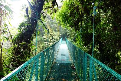 Pont suspendu - Monteverde - Costa Rica