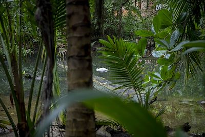 Parque nacional de Cahuita