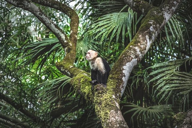 Randonnée Costa Rica Corcovado