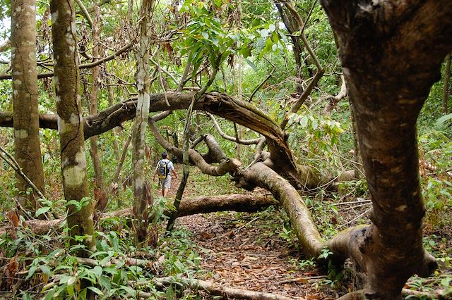 Trek Costa Rica Corcovado