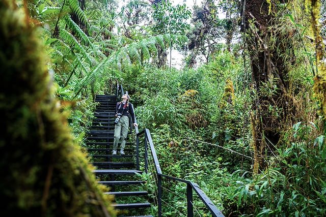 Trek Costa Rica Corcovado