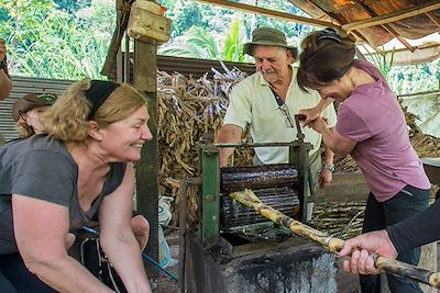 Fabrication de guarapo (jus de canne) - Costa Rica