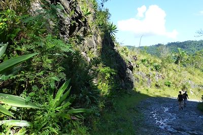 Randonnée dans le Parque Topes de Collantes - Cuba