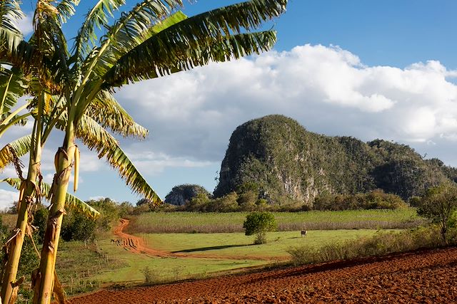 Randonnée Cuba
