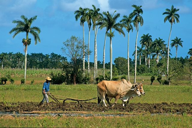 Vélo Cuba