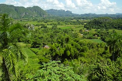 Vallée de Vinales et ses Mogotes