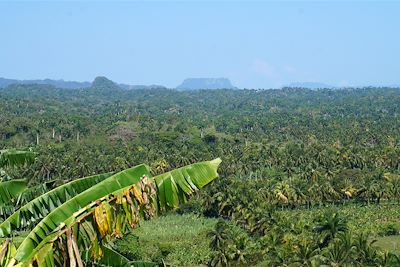 Vue sur le Yunque - Sur le sentier Mata Cajuajo - Province de Guantánamo - Cuba