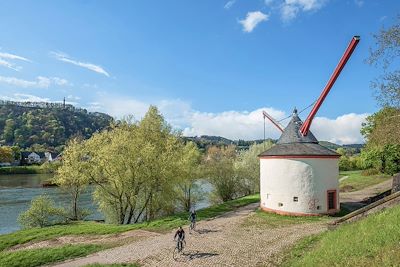 Grue de la Moselle - Trèves - Rhénanie-Palatinat - Allemagne