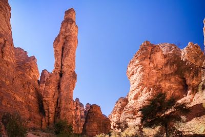 Tassili N'Ajjer - Essendilène - Algérie  