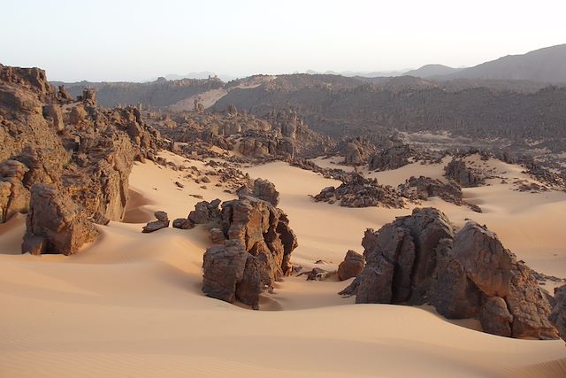 Randonnée avec chameau Algérie