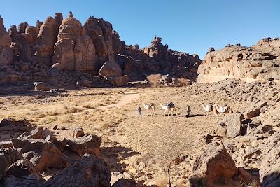 Voyage spécial arts rupestres au plateau de Séfar