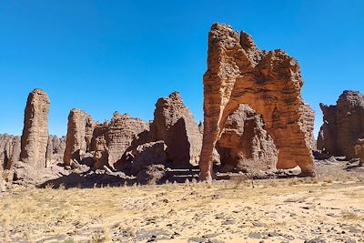 Roches érodées du plateau de Séfar dans le Tassili des Ajjers - Algérie