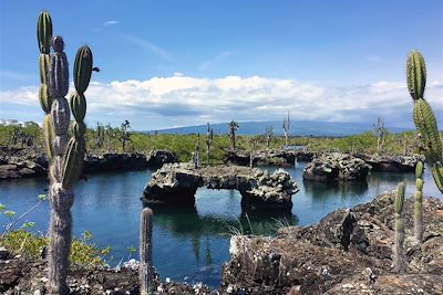 Los Tuneles sur l'île Isabela - Îles Galápagos - Equateur