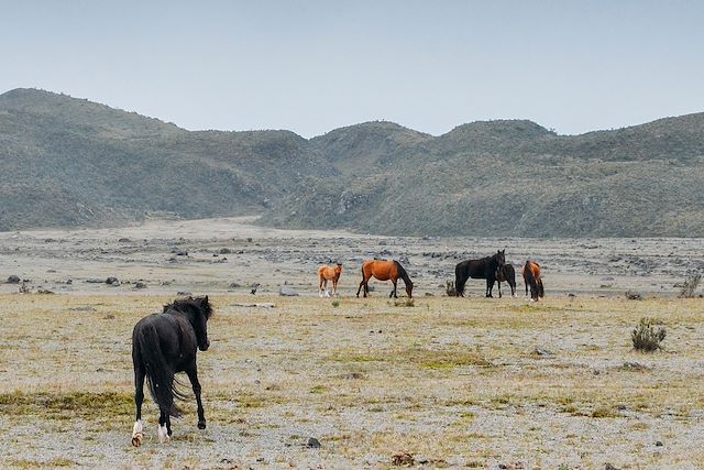 Randonnée Equateur