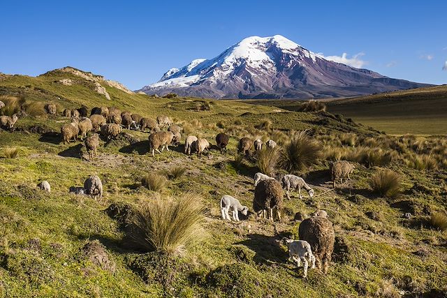 Randonnée Equateur