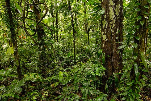 Randonnée Equateur