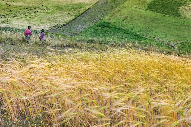 Randonnée Equateur