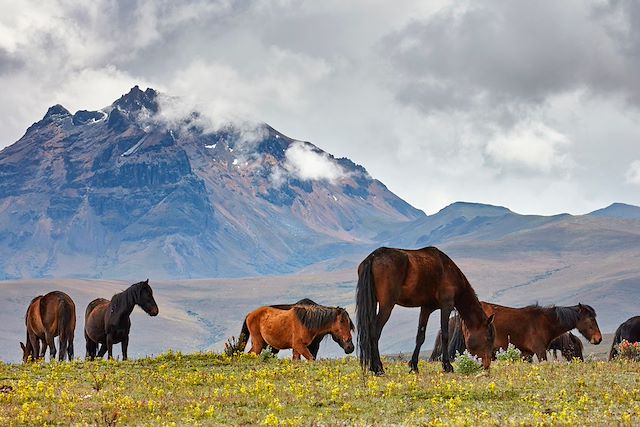 Randonnée Equateur