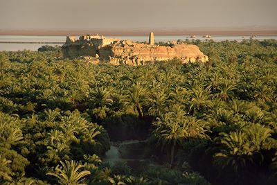 Oasis de Siwa - Egypte