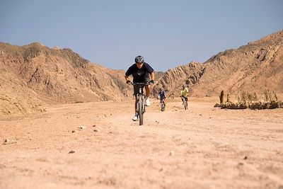VTT en Égypte 