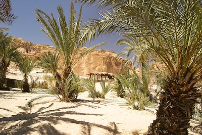 Oasis Ain Khudra - Egypte
