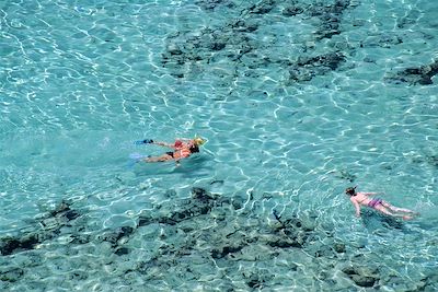 Snorkeling et dauphins de la mer Rouge